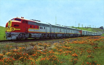Santa Fe's 'Super Chief' passing a field of California poppies, 1956. Artist: Unknown