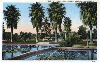 'A Typical Park Scene in Southern California', USA, 1924. Artist: Unknown