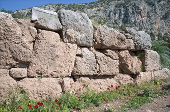 The walls of Delphi, Greece. Artist: Samuel Magal