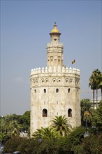 Torre del Oro (Golden Tower), Seville, Andalusia, Spain, 2007. Artist: Samuel Magal