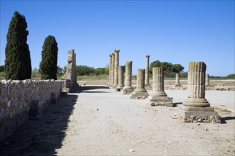 The forum in the Roman city of Emporiae, Empuries, Spain, 2007. Artist: Samuel Magal
