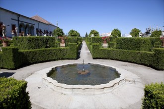 Pond in the Garden of the Episcopal Palace, Castelo Branco, Portugal, 2009.  Artist: Samuel Magal