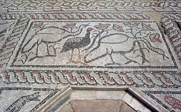 Mosaic, ruins of the Roman town of Stobi, Gradsko, Macedonia.