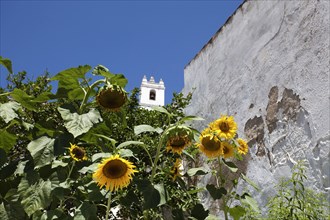 The bell tower of the main church (igreja matriz) of Mertola, Portugal, 2009. Artist: Samuel Magal