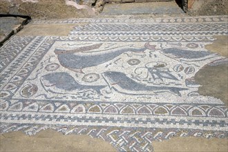 A fish mosaic in the east side of the peristylium, Milreu, Portugal, 2009. Artist: Samuel Magal
