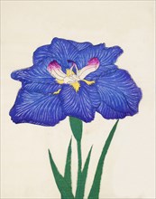 Shiga-No-Uranami, No. 3, 1890, (colour woodblock print)