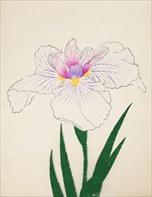 Akashi-No-Ue, No. 10, 1890, (colour woodblock print)
