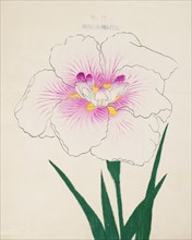 Misuji-No-Ito, No.17, 1890, (colour woodblock print)