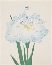 U-Chu, No. 25, 1890, (colour woodblock print)