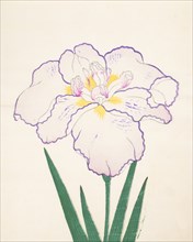 Tanporo, No. 51, 1890, (colour woodblock print)