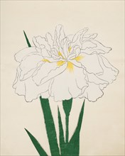 Ujaku-No-Nagisa, No. 61, 1890, (colour woodblock print)