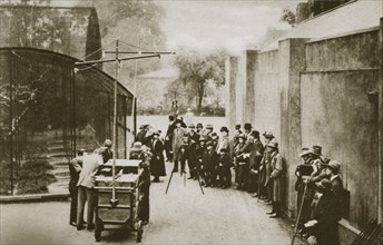 BBC broadcast from the aviary at London Zoo, 20th century. Artist: Unknown