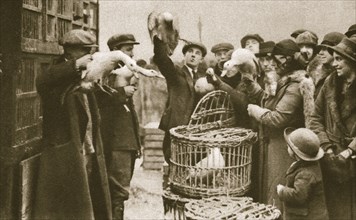 Buying live poultry at a 'Pedlars' Market' at the Caledonian Market, London, 20th century. Artist: Unknown