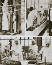 Preparing cat gut at the London Hospital's own factory, London, 20th century. Artist: Unknown