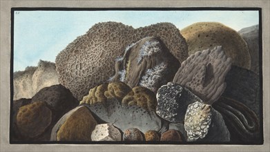 Lava, Scoria, and Pumice stones and of Mount Versuvius, 1776.