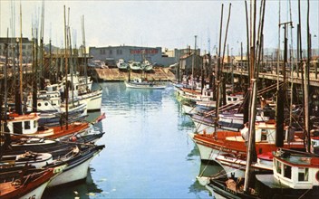 Fishing boats at Fisherman's Wharf, San Francisco, California, USA, 1957. Artist: Unknown