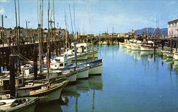 Fishing fleet at Fisherman's Wharf, San Francisco, California, USA, 1957. Artist: Unknown
