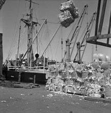 Loading pulp, Stockholm harbour, Sweden, 1950. Artist: Torkel Lindeberg