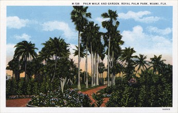 Palm Walk and garden, Royal Palm Park, Miami, Florida, USA, 1931. Artist: Unknown