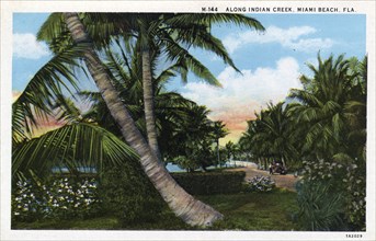 Along Indian Creek, Miami Beach, Florida, USA, 1931. Artist: Unknown