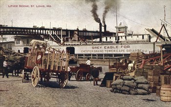 Levee scene, St Louis, Missouri, USA, 1910. Artist: Unknown