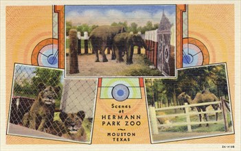 'Scenes at Hermann Park Zoo, Houston, Texas', USA, postcard, 1932. Artist: Unknown