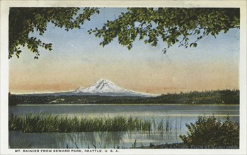 Mount Rainier from Seward Park, Seattle, Washington, USA, 1916. Artist: Unknown