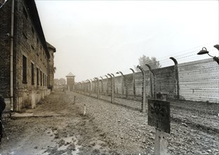 Auschwitz concentration camp, Poland, 1967. Artist: Unknown