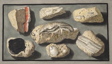 Specimens of Tufa found in and around Herculaneum, 1776.