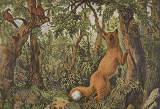 The Puzzled Fox, pub. 1872, Currier & Ives (Colour Lithograph)