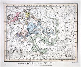 The Constellations (Plate II) Ursa Minor,  Cassiopeia,  Tarandus, Cepheus,  Draco, Custos Messium,