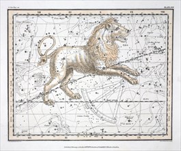 The Constellations (Plate XVII) Leo, 1822.