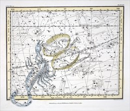 The Constellations (Plate XIX) Libra and Scorpio, 1822.