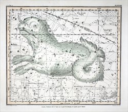 The Constellations (Plate XXIII) Cetus, Officina Sculptoris, Machina Electrica, Fornax Chemica, 1822