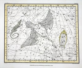 The Constellations (Plate XI) Cygnus, Lacerta and Via Lactea, 1822.