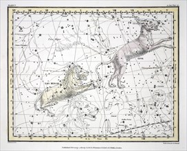 The Constellations (Plate V) Lynx, Leo Minor, 1822.