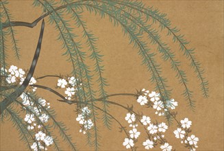 Yanagi Sakura, from Momoyo-gusa (The World of Things) Vol II, pub.1909 (colour block woodcut)
