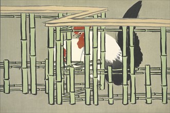 Chabo, from Momoyo-gusa (The World of Things) Vol II, pub.1909 (colour block woodcut)
