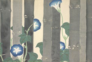 Asagao, from Momoyo-gusa (The World of Things) Vol I, pub.1909 (colour block woodcut)
