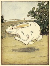 Peter never stopped running, from The Tale of Peter Rabbit, pub. 1916 (colour lithograph), 1916. Creator: American School (20th Century).