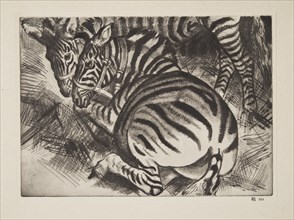 Zebras , pub. 1930. Creator: Laura Knight (1877 - 1970).