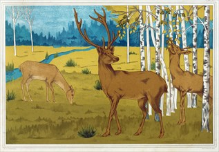 Deer, from 'L'Animal dans la Decoration', pub. 1897. Creator: Maurice Pillard Verneuil (1869?1942).