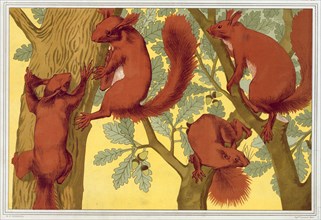 Squirrels, pub. 1897. Creator: Maurice Pillard Verneuil (1869?1942).