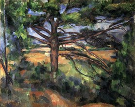 'A Big Pine Tree near Aix', 1895-1897.  Artist: Paul Cezanne