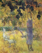 'Man Picking Fruit from a Tree', 1897.  Artist: Paul Gauguin