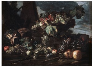 'Still Life with Grapes', 17th century.  Artist: Michelangelo Pace del Campidoglio
