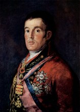 'Portrait of Field Marshal Arthur Wellesley, 1st Duke of Wellington', c1814.  Artist: Francisco Goya