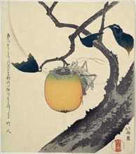 'Moon, Persimmon and Grasshopper', 1807.  Artist: Hokusai