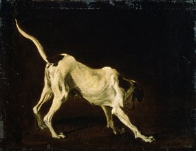 'A Dog', 17th century. Artist: Frans Snyders