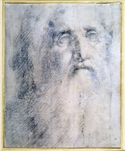 'Study of an old Man's head with a beard', c1535. Artist: Domenico Beccafumi